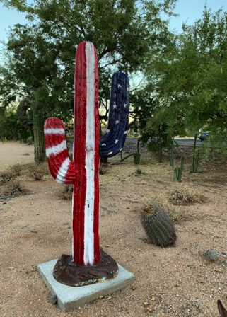 Oct 11 - Town Dump Saguaro now at the Cave Creek Museum.